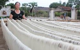 Hà Nội đầu tư xử lý triệt để ô nhiễm môi trường tại 44 làng nghề 